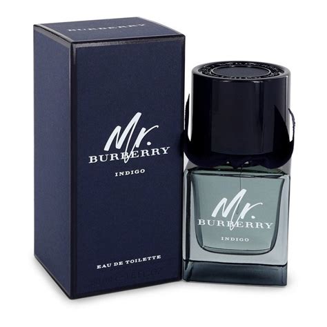 mr burberry indigo edt 50ml|mr Burberry indigo cologne reviews.